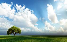 sky_5